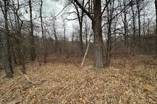 Lot 25 County Rd 11, Breezy Point, MN 56472 - Photo 1