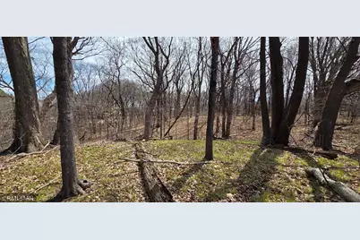 N/A State Highway 55, Rockford, MN 55373 - Photo 8