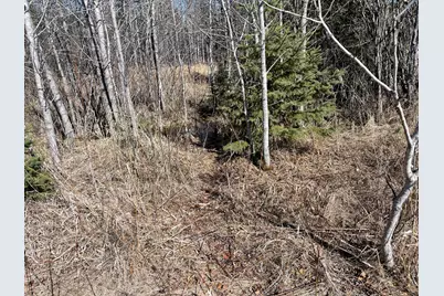 Hwy 133 Hwy # 133, Meadowlands, MN 55765 - Photo 10