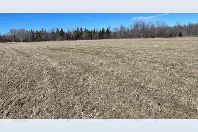 Hwy 133 Hwy # 133, Meadowlands, MN 55765 - Photo 2