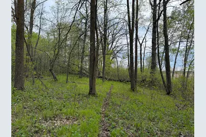 Tbd 320th Street, Browerville, MN 56438 - Photo 28