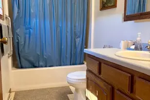 18680 Elk Loop, Long Prairie, MN 56347 - Photo 18