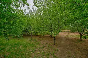 1371 60th Ave, Amery, WI 54001 - Photo 12