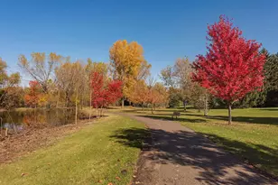 2890 Zanzibar Ln N, Plymouth, MN 55447 - Photo 50