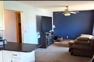 13 N Muyres Ave, Carlos, MN 56319 - Photo 6