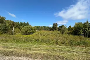 10629 Town Rd 34, Mizpah, MN 56660 - Photo 8