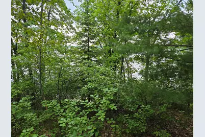 Tbd Andrusia Road SE #Lot 7, Block 1, Cass Lake, MN 56633 - Photo 14