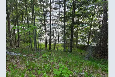 Tbd Andrusia Road SE #Lot 7, Block 1, Cass Lake, MN 56633 - Photo 8
