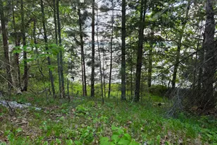 Tbd Andrusia Road SE, Cass Lake, MN 56633 - Photo 8