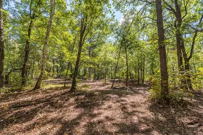 Tract C Tbd Little Pine Road, Brainerd, MN 56401 - Photo 8