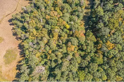 Tract C Tbd Little Pine Road, Brainerd, MN 56401 - Photo 20