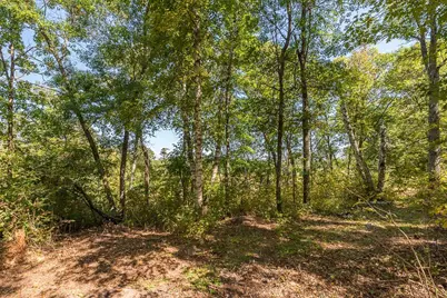 Tract C Tbd Little Pine Road, Brainerd, MN 56401 - Photo 10