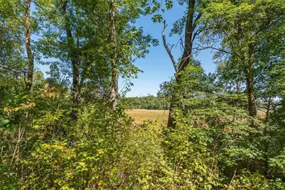 Tract C Tbd Little Pine Road, Brainerd, MN 56401 - Photo 4