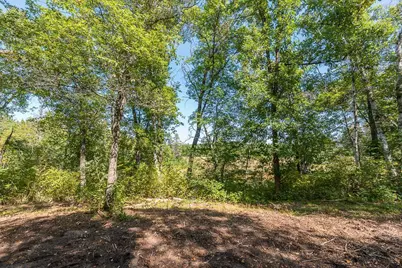Tract C Tbd Little Pine Road, Brainerd, MN 56401 - Photo 6