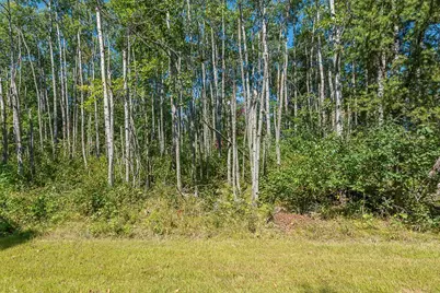 Tract C Tbd Little Pine Road, Brainerd, MN 56401 - Photo 12