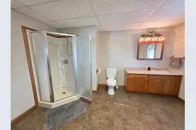 28249 646th Street, Lake City, MN 55041 - Photo 66