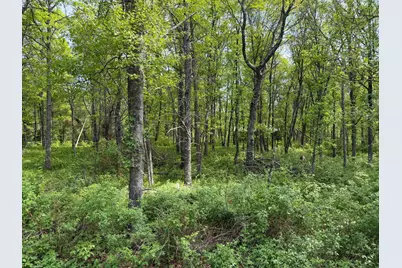 0 Sugarloaf Road, Crosslake, MN 56442 - Photo 6