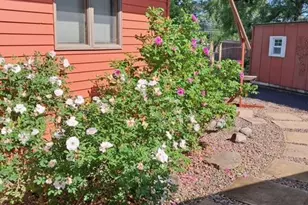 30658 Lake 11 Dr, Sandstone, MN 55072 - Photo 28