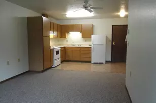 222 1st Ave NE, Eagle Bend, MN 56446 - Photo 2