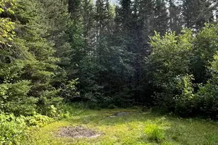 Tbd S Lost Lake Rd, Hovland, MN 55606 - Photo 1