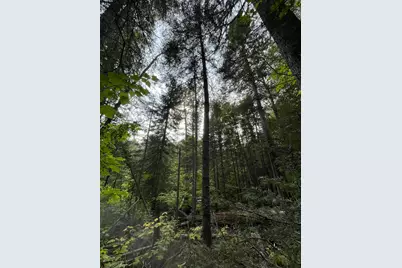 Tbd S Lost Lake Road, Hovland, MN 55606 - Photo 6