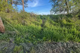 3351 County Road 7 NE, Dover, MN 55929 - Photo 80