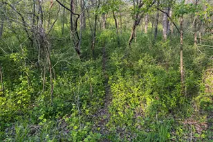 3351 County Road 7 NE, Dover, MN 55929 - Photo 86