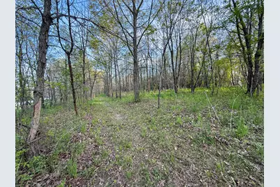 3351 County Road 7 NE, Dover, MN 55929 - Photo 100