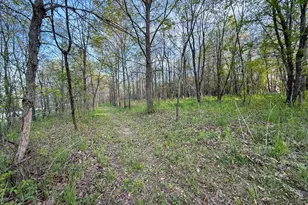 3351 County Road 7 NE, Dover, MN 55929 - Photo 100