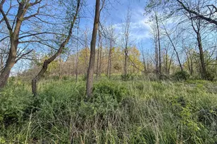 3351 County Road 7 NE, Dover, MN 55929 - Photo 98