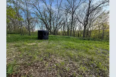 3351 County Road 7 NE, Dover, MN 55929 - Photo 102