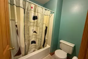 71258 285th Ave, Lake City, MN 55041 - Photo 40