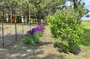 215 Marshall Ave, Henning, MN 56551 - Photo 52