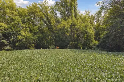 24X2 Holy Name Drive, Medina, MN 55340 - Photo 8