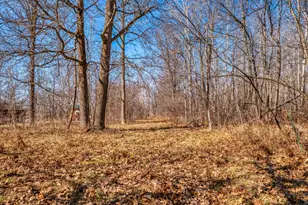 43522 US-71, Bemidji, MN 56461 - Photo 40
