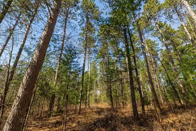 0 Prairie Road E, Osseo, WI 54758 - Photo 12