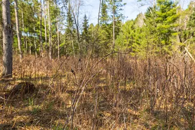 0 Prairie Road E, Osseo, WI 54758 - Photo 6