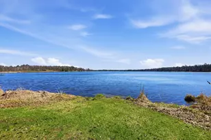 36710 141st Ave, Menahga, MN 56464 - Photo 10