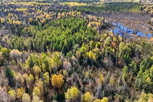 3451 Drummond Grade, Two Harbors, MN 55616 - Photo 24