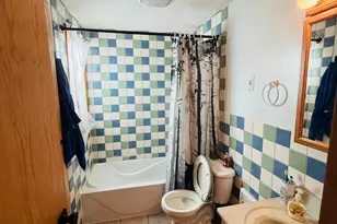 8540 1st Ave W, Clear Lake, MN 55319 - Photo 10