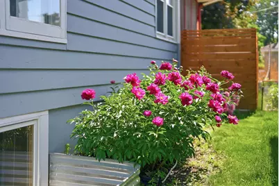 4315 16th Avenue S, Minneapolis, MN 55407 - Photo 78