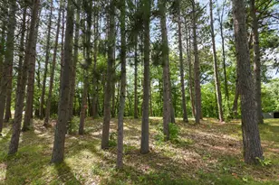 25734 Peavy Trail, Hillman, MN 56338 - Photo 36