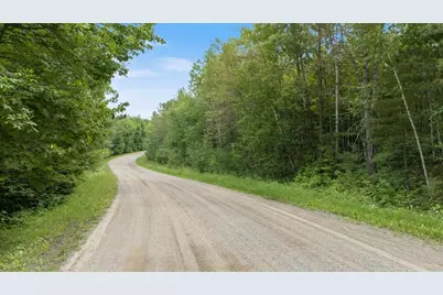 Tbd "Lot A" Co Rd 533, Effie, MN 56639 - Photo 4