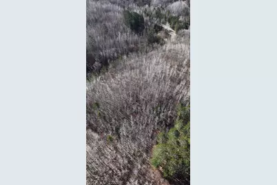 Tbd "Lot C" County Road 533, Effie, MN 56639 - Photo 6