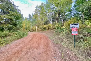 357 Quadna Mountain Rd, Hill City, MN 55748 - Photo 34