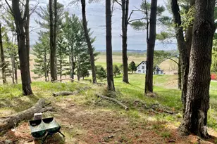 N19027 Co Rd F, Trempealeau, WI 54661 - Photo 66