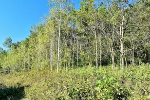 24242 Pfeiffer Hill Rd, Winona, MN 55987 - Photo 40