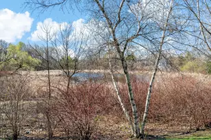 2325 Gresham Ave N, Oakdale, MN 55128 - Photo 6