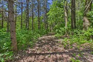 38739 Co Rd 10, Albany, MN 56307 - Photo 48