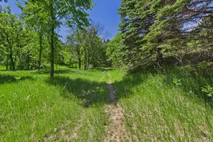 38739 Co Rd 10, Albany, MN 56307 - Photo 48